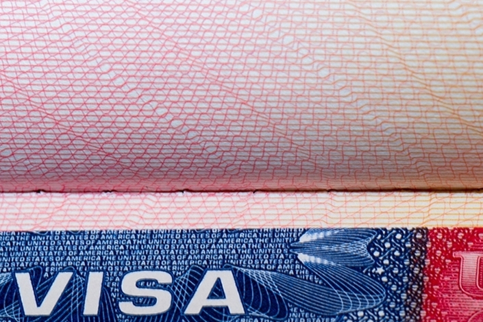 Visa Pro-Immigration Services-in-Dubai